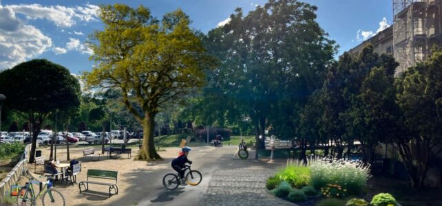 Reduir l’asfalt a Rubí per renaturalitzar la ciutat, la proposta de l’AUP al ple de maig